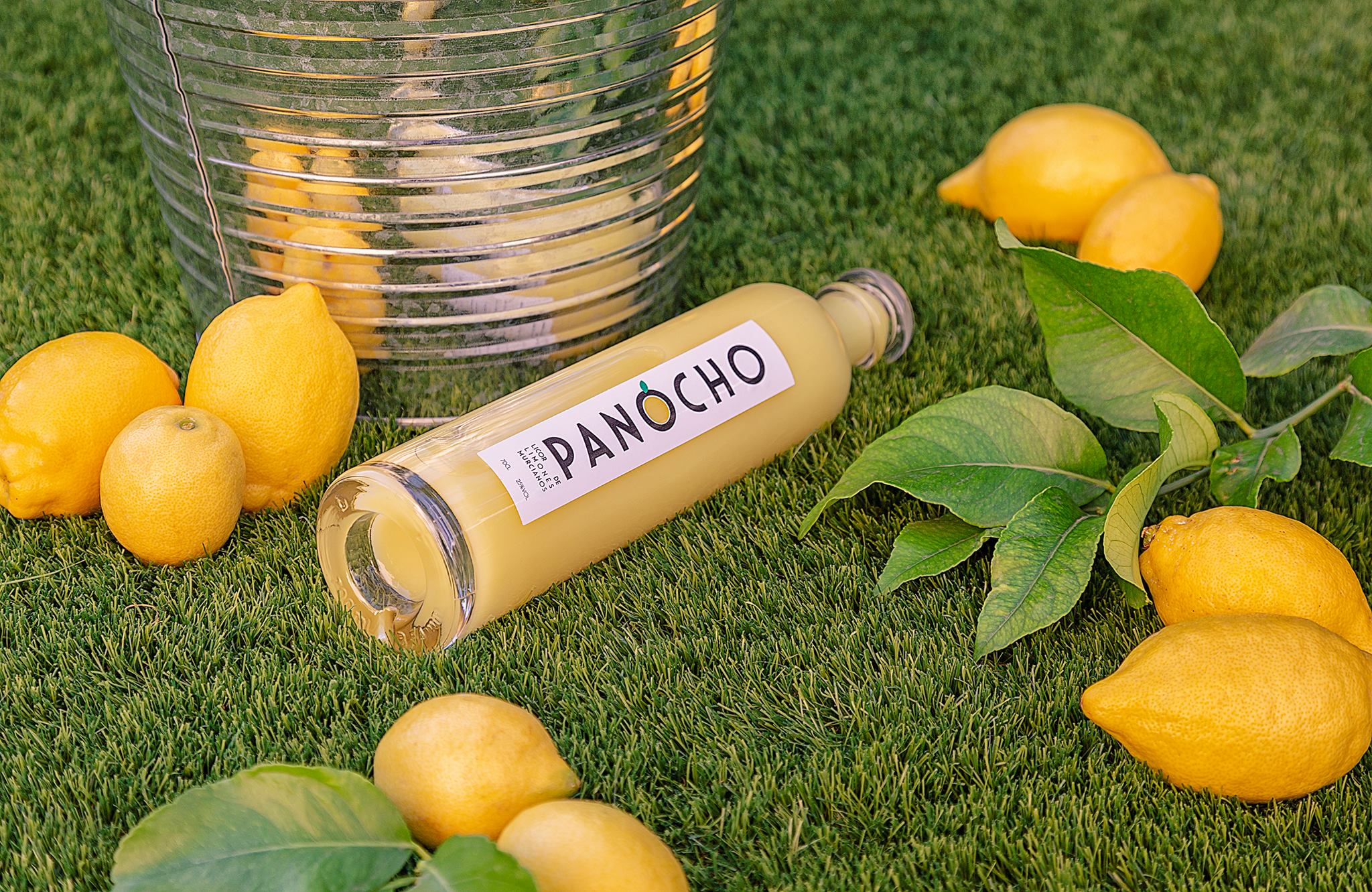 cata-panocho licor de limón Murcia limoncello cata